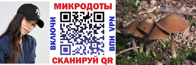 Псилоцибиновые грибы прущие грибы  закладка  Бобров 